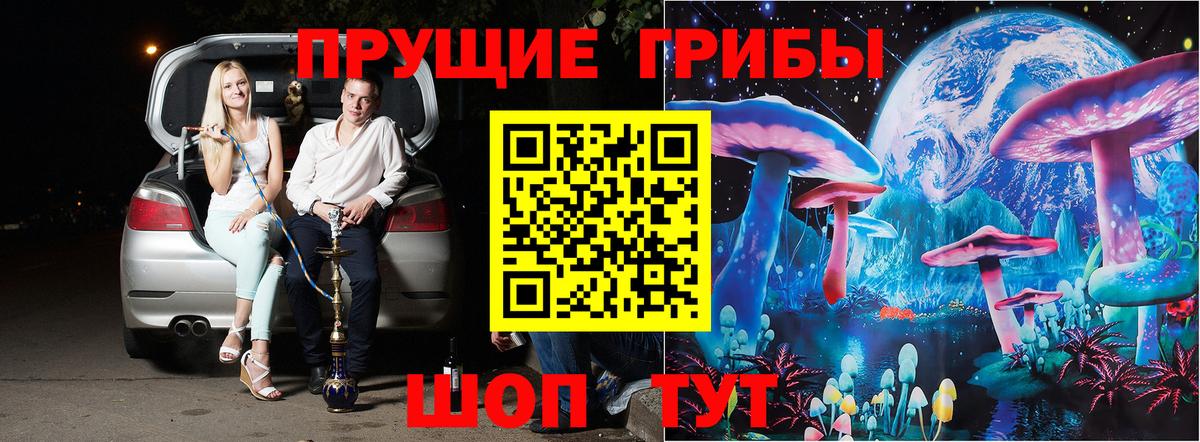 Псилоцибиновые грибы мухоморы  Псилоцибиновые грибы прущие грибы  Элиста  Вход с VPN 